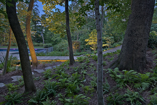 Forest Hills