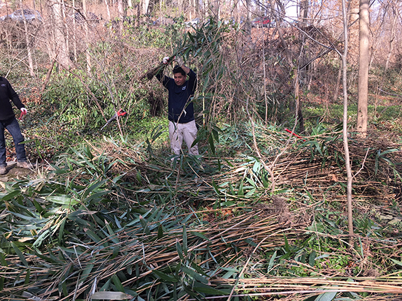 Outdoor Illumination volunteers at Tregaron Conservancy